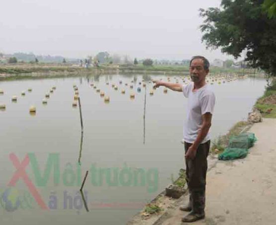 Thanh Hóa: 'Đánh liều' nuôi trai lấy ngọc, U70 'hốt bạc'